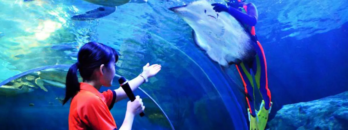 A mesmerizing tank filled with colorful fish and glowing lights